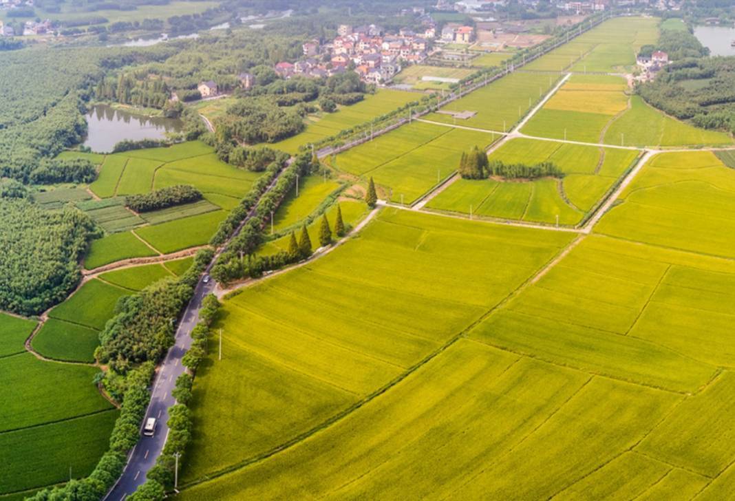 KDV'siz arsalar satışa çıkıyor! KDV'siz arsalar hani şehirde? 3